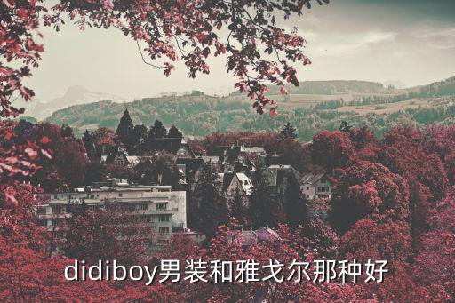 didiboy男裝和雅戈爾那種好