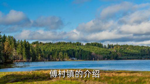 傅村鎮，傅村鎮的介紹