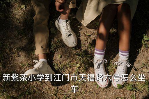 江門(mén)市紫茶小學(xué)，新紫茶小學(xué)到江門(mén)市天福路六號(hào)怎么坐車(chē)