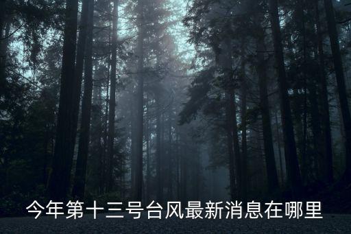 臺風最新信息，最新臺風消息叫什么名字