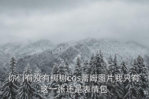 你們有沒有樹樹cos蕾姆圖片我只有這一張還是表情包