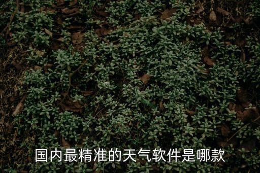 國內(nèi)最精準(zhǔn)的天氣軟件是哪款
