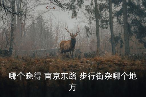 南京東路步行街，哪個曉得 南京東路 步行街雜哪個地方