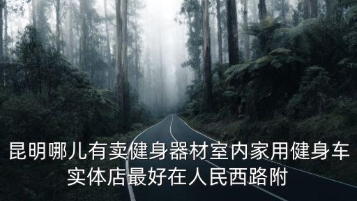 昆明哪兒有賣健身器材室內(nèi)家用健身車實體店最好在人民西路附