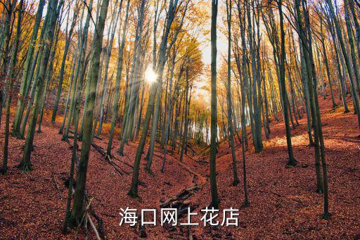 我滴花店網(wǎng)，我訂花是一個什么網(wǎng)站