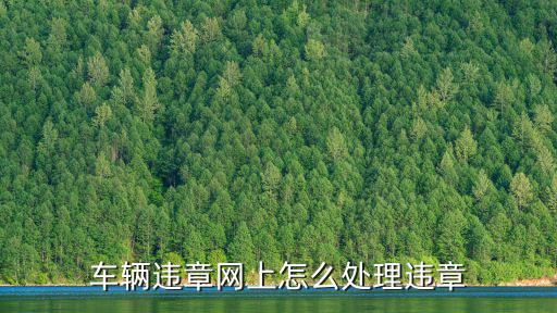 網上處理違章，交通違章網上如何繳費
