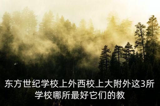 東方世紀學校上外西校上大附外這3所學校哪所最好它們的教