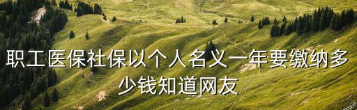 職工醫保社保以個人名義一年要繳納多少錢知道網友