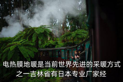 電熱膜地暖是當(dāng)前世界先進(jìn)的采暖方式之一吉林省有日本專業(yè)廠家經(jīng)
