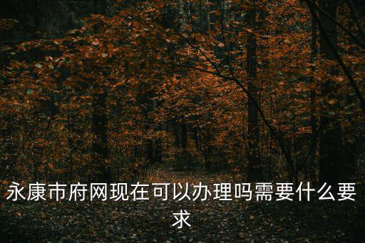 永康市府網現在可以辦理嗎需要什么要求