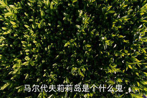 馬爾代夫莉莉島是個(gè)什么鬼
