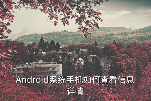 查看詳情，Android系統(tǒng)手機如何查看信息詳情