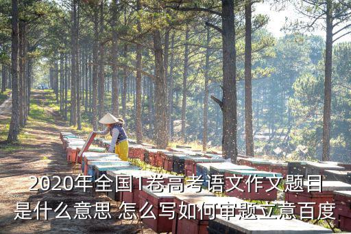 2020年全國1卷高考語文作文題目是什么意思 怎么寫如何審題立意百度