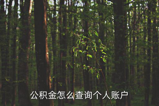 公積金怎么查詢個人賬戶