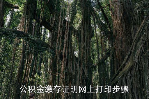 公積金繳納證明，公積金繳存證明網上打印步驟
