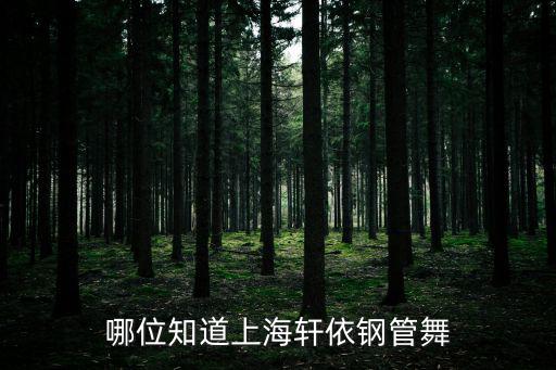 哪位知道上海軒依鋼管舞