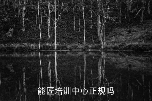 能匠，巧工能匠的意思
