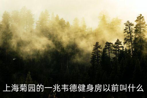 上海菊園的一兆韋德健身房以前叫什么