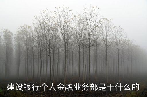 建設銀行個人金融業務部是干什么的