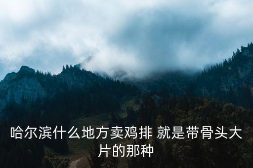 哈爾濱什么地方賣雞排 就是帶骨頭大片的那種