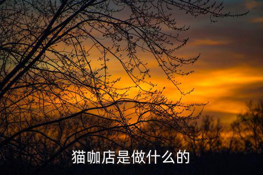貓咪咖啡館，貓咖是干嘛的