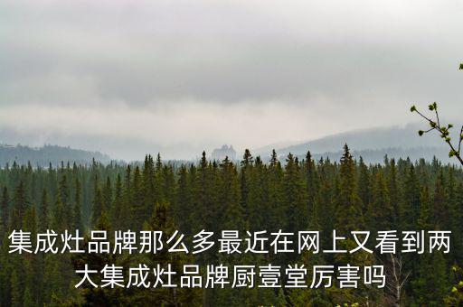 廚壹堂集成灶官網，廚壹堂集成灶怎么樣我認為不好我買了1臺到目前我還沒有用過就