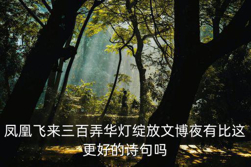 鳳凰飛來三百弄華燈綻放文博夜有比這更好的詩句嗎