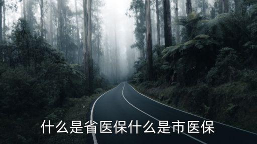什么是省醫保什么是市醫保