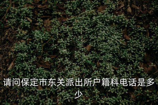 請(qǐng)問(wèn)保定市東關(guān)派出所戶籍科電話是多少