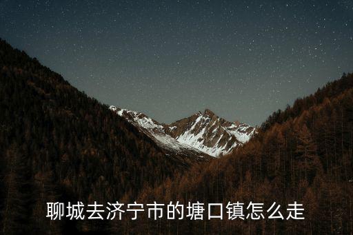 塘口鎮，聊城去濟寧市的塘口鎮怎么走