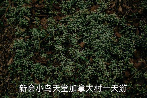 新會小鳥天堂加拿大村一天游