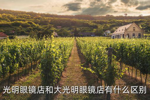 光明眼鏡店和大光明眼鏡店有什么區別