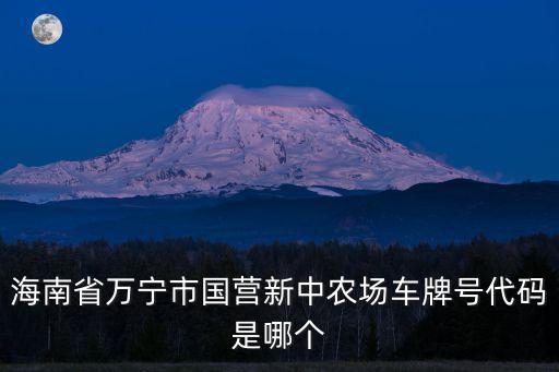 海南省萬寧市國營新中農(nóng)場(chǎng)車牌號(hào)代碼是哪個(gè)