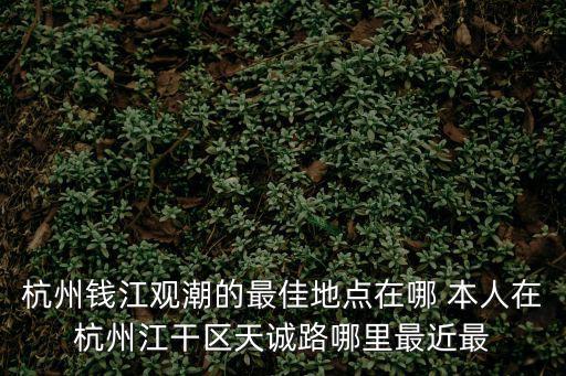 錢塘江觀潮地點，杭州錢江觀潮的最佳地點在哪 本人在杭州江干區天誠路哪里最近最