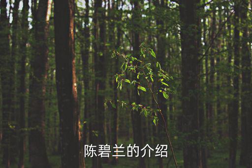 陳碧蘭的介紹