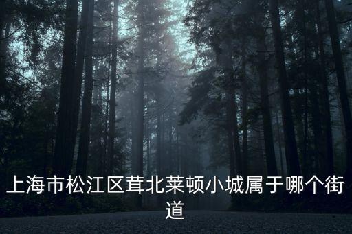 上海市松江區(qū)茸北萊頓小城屬于哪個街道
