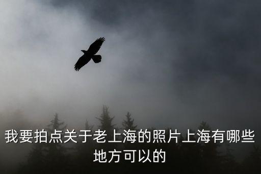 我要拍點關于老上海的照片上海有哪些地方可以的