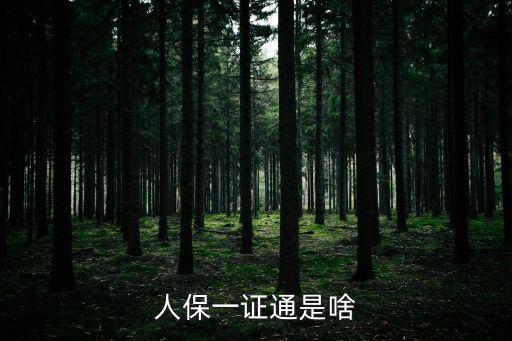 一證通，中國平安一帳通是合法的嗎
