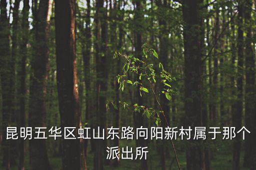 向陽新村，江蘇省泰州市泰興市黃橋鎮向陽新村郵編是什么