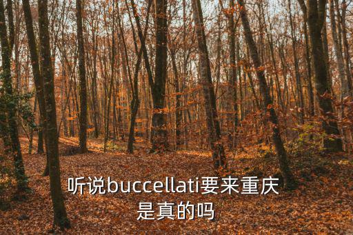 聽說buccellati要來重慶 是真的嗎