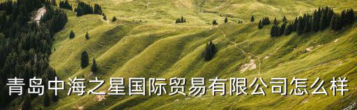 青島中海之星國際貿易有限公司怎么樣