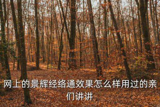 網上的景輝經絡通效果怎么樣用過的親們講講