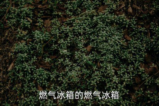 燃氣冰箱的燃氣冰箱