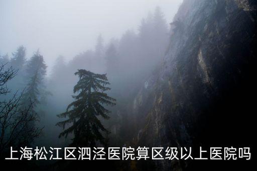 上海松江區泗涇醫院算區級以上醫院嗎