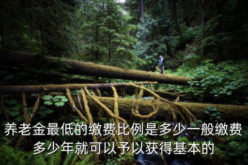 養老金最低的繳費比例是多少一般繳費多少年就可以予以獲得基本的