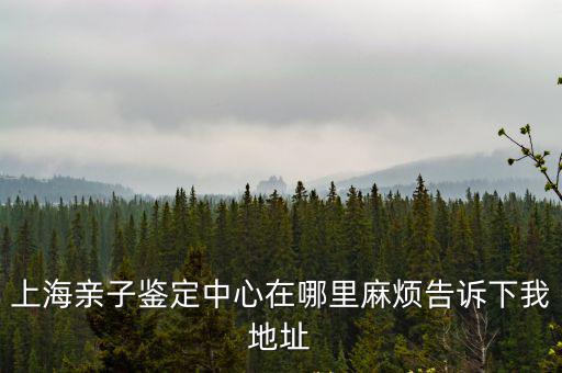 上海親子鑒定中心，上海親子鑒定中心在哪里麻煩告訴下我地址