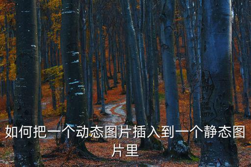 如何把一個動態圖片插入到一個靜態圖片里