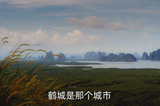 鶴城是那個城市