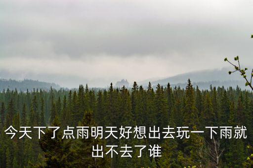 今天下了點雨明天好想出去玩一下雨就出不去了誰