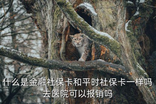 什么是金融社保卡和平時(shí)社保卡一樣嗎去醫(yī)院可以報(bào)銷嗎